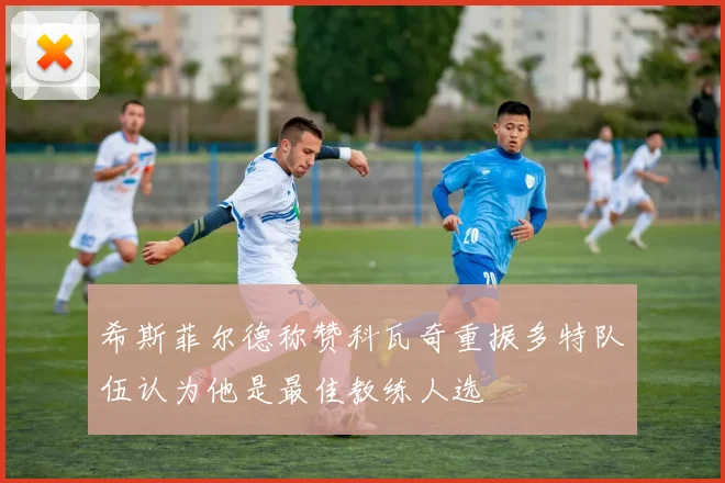 希斯菲尔德称赞科瓦奇重振多特队伍认为他是最佳教练人选