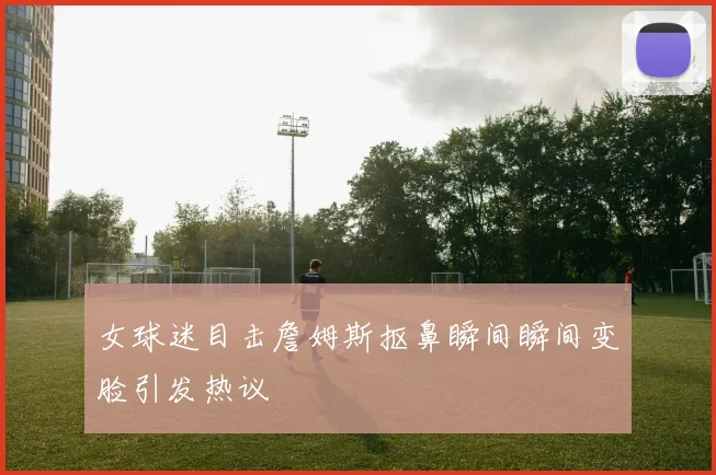 女球迷目击詹姆斯抠鼻瞬间瞬间变脸引发热议