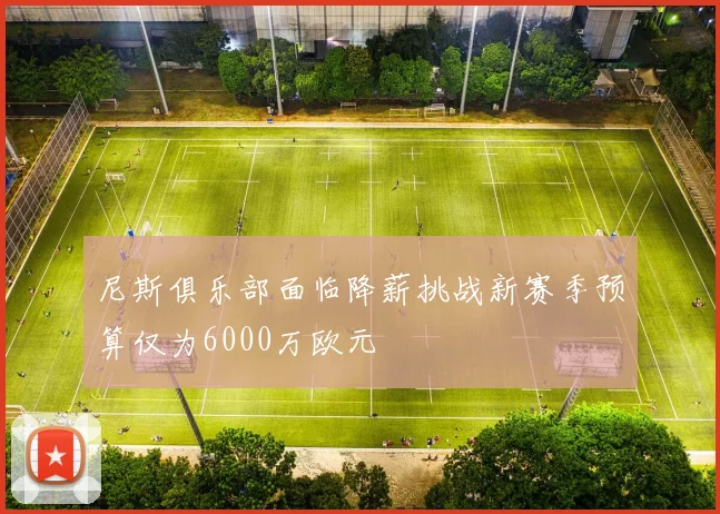 尼斯俱乐部面临降薪挑战新赛季预算仅为6000万欧元