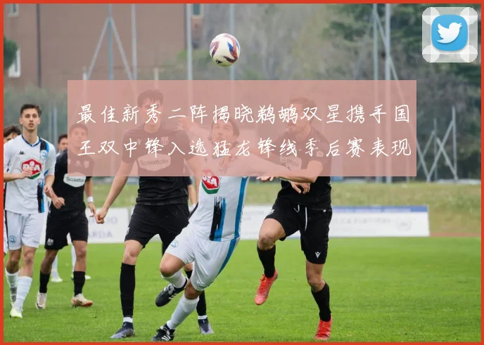 最佳新秀二阵揭晓鹈鹕双星携手国王双中锋入选猛龙锋线季后赛表现抢眼